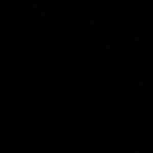 Meet your Posher, Shaunesse